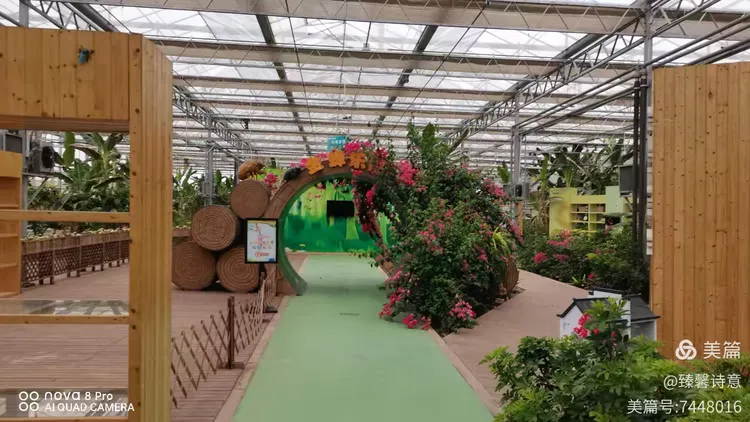 河北省故城县以岭康养庄园之中国金蝉文化馆